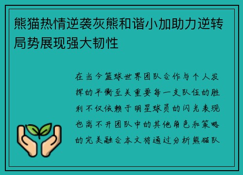 熊猫热情逆袭灰熊和谐小加助力逆转局势展现强大韧性