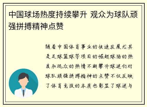 中国球场热度持续攀升 观众为球队顽强拼搏精神点赞